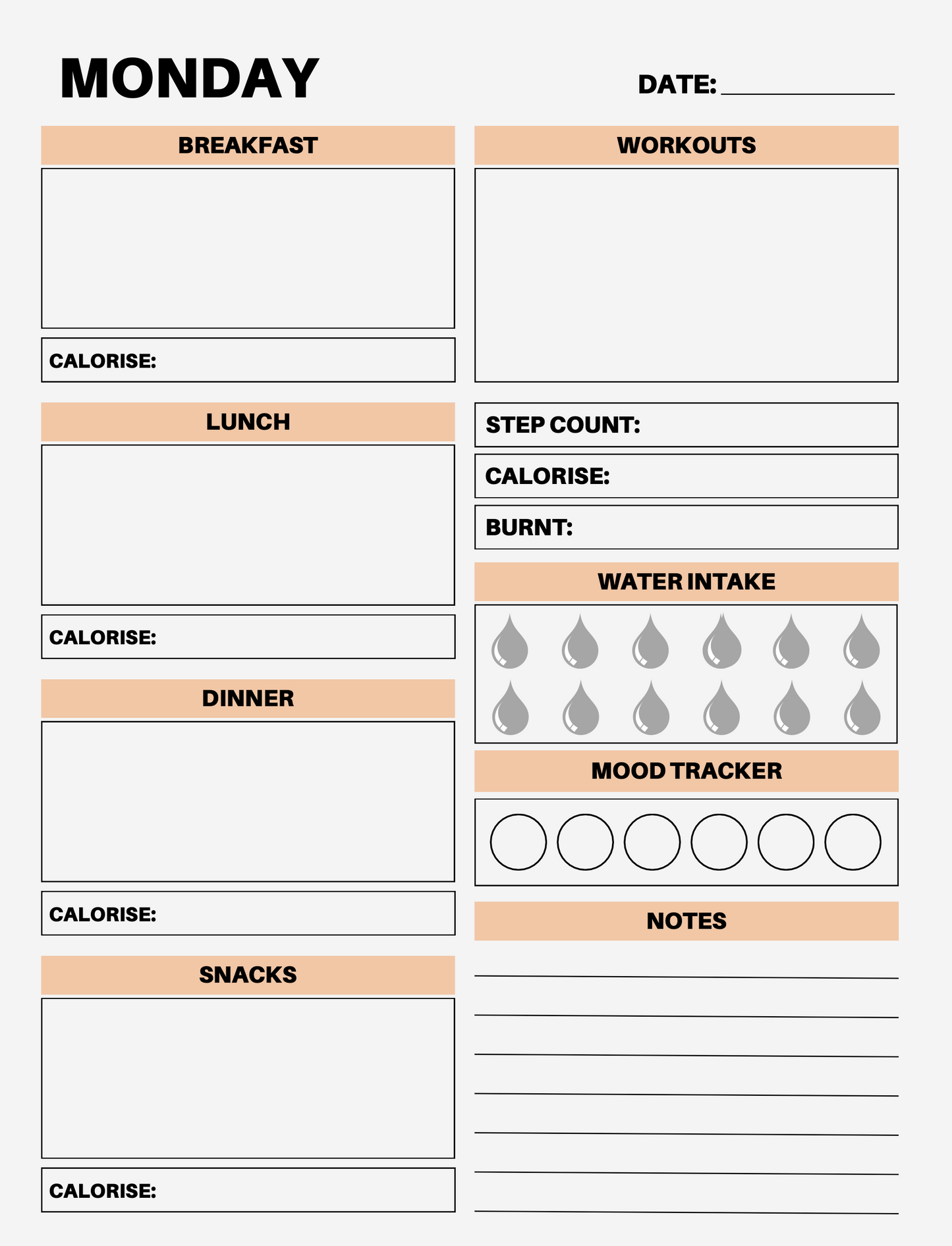 7 Day Food Diary